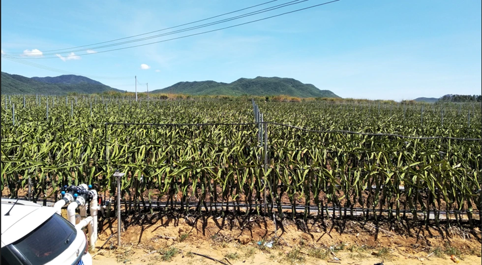 11KW Variable Frequency Drive for Pump